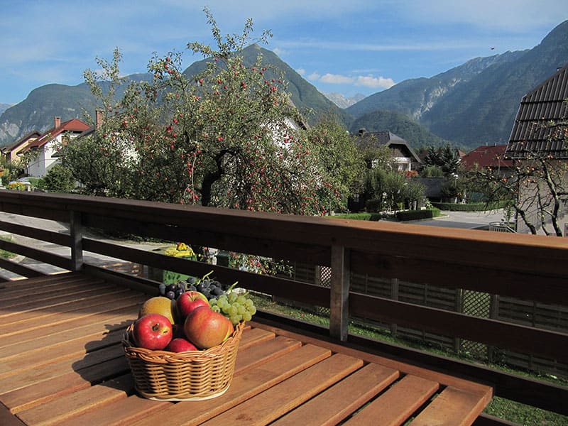 Apartment Čompa Bovec10
