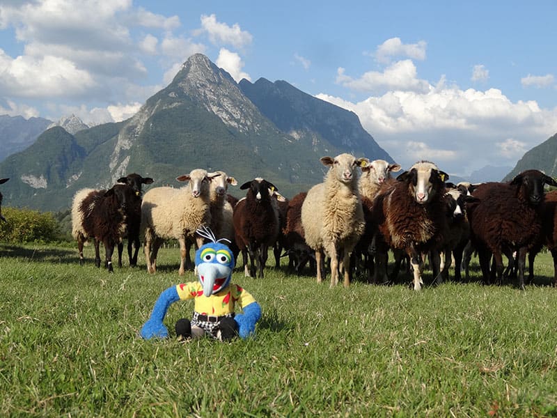 Bovec sport and outdoor20