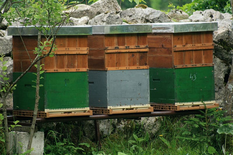 Bovec sport and outdoor28