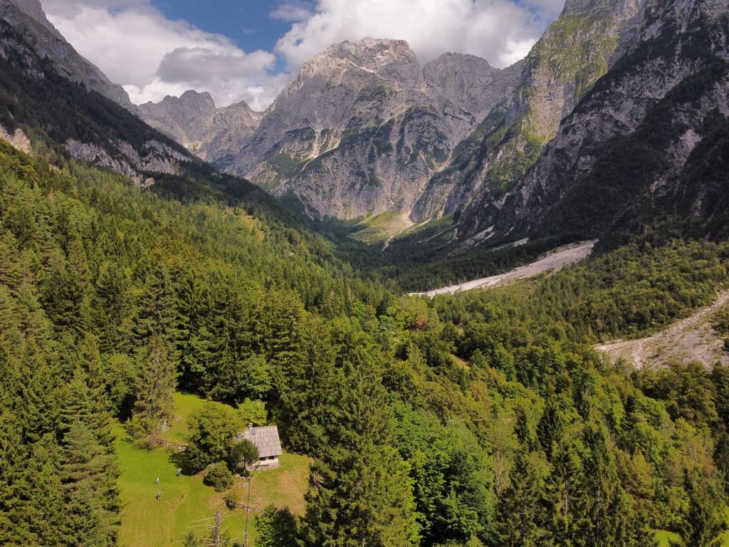 dji_fly_20250822_150032_397_1755867642445_photo_optimized